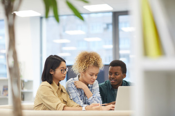 Wall Mural - Portrait of multi-ethnic group of students using laptop together while working on project in library, copy space