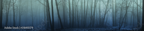 Fotografía panorama of forest fog in the winter forest, mysterious mystical landscape of gr
