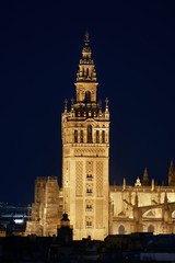 Wall Mural - Seville night rooftop view