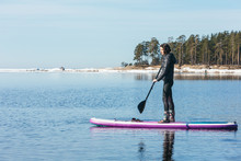 Attractive Caucasian Woman In Black Wetsuit Paddle On SUP Board With An Oar. Female Floating On Stand Up Paddle Board In The Sea. In The Background Trees. Winter Season And Active Leisure Concept.
