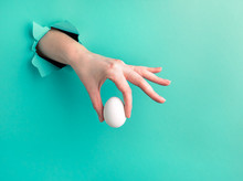 A Woman's Hand Holds A White Egg Through A Hole On A Green Background