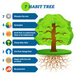 7 habit tree success mindset stages vector illustration