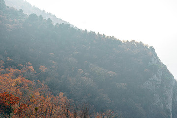 Wall Mural - Autumn rural scenery with  mountains and forests covered with morning fog