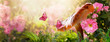 Magical fantasy large mushroom in enchanted fairy tale garden with fabulous fairytale blooming pink rose flower field on blurred mysterious banner background and shiny glowing sun beam in the morning