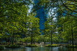 Fototapeta  - zielony park przy placu europejskim w Warszawie w tle szklany wierzowiec