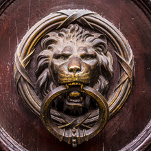 Lion Door Knocker