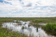 Landscape view of the Everglades National Park in Florida