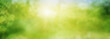 canvas print picture - Abstract green sunny spring landscape