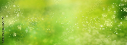 Fotografía Abstract green spring background