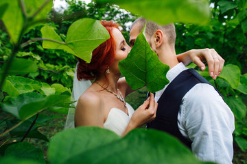 Wall Mural - Happy, romantic newly wed couple kissing lips, snogging together in the midst of tall bushes in the park on a summer cloudy day. Shot taken through branch with wide green leaves.