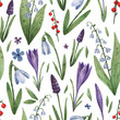 Botanical seamless pattern with watercolor spring flowers.  Background with snowdrops, crocuses, lilies of the valley, mouse hyacinth. Beautiful flower background for wrapping, fabrics, wallpaper