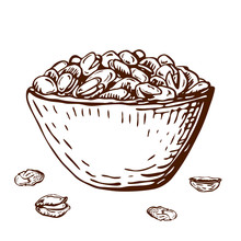 Hand Drawn Illustration Of Pistachio Nuts In Bowl Isolated On White. Vector Ink Engraved Nuts Drawing In Vintage Style. Open Pistachios, Nutshell And Pile Of Nuts On Plate.healthy Snack Beer Appetizer