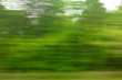 © schankz - Trees in motion as an abstract background.