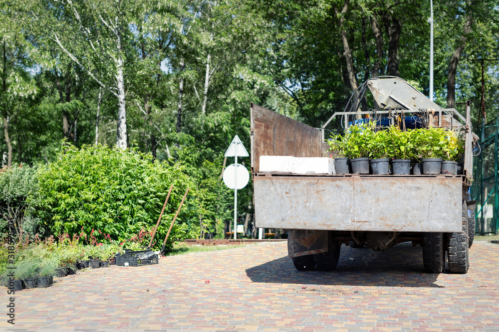 Back view of open truck body delivering from nursery plants and flowers ...