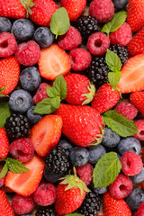 Wall Mural - assorted of fresh berry fruit- top view