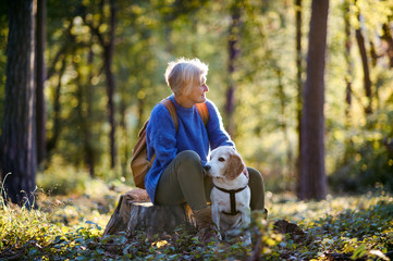 Wall Mural - A senior woman with dog on a walk outdoors in forest, resting.