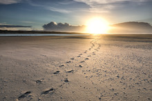 Track Path On Sand Beach To Sun