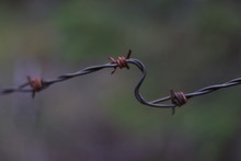 Close-Up Of Barbed Wire
