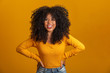 © Brastock Images - Young afro-american woman with curly hair looking at camera and smiling. Cute afro girl with curly hair smiling looking at camera.