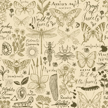 Vector Seamless Pattern With Insects And Medicinal Herbs In Retro Style. Hand-drawn Herbs, Butterflies, Beetles, Sketches And Inscriptions On An Old Paper Background. Wallpaper, Wrapping Paper, Fabric