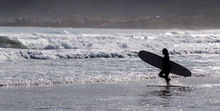 Silhouette Surfer Walking On Shore At Beach