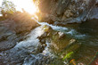 © Sander Studio - raging threshold on a river flowing among the rocky shores in the forest on a fine day