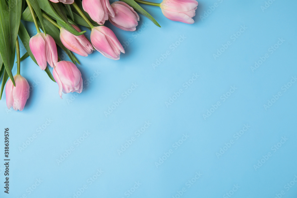 Beautiful pink spring tulips on light blue background, flat lay. Space for text - obrazy, fototapety, plakaty 
