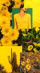 Wall Mural - Fashion aesthetic moodboard. Trendy colours Summertime Yellow