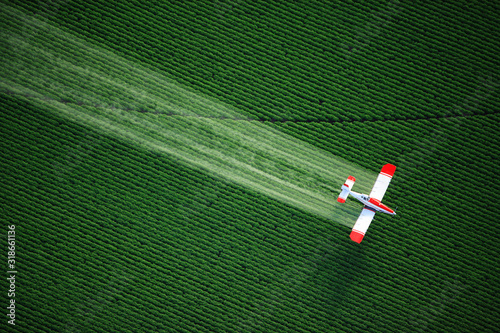 Fotografía aerial view of a crop duster or aerial applicator, flying low, and spraying agricultural chemicals, over lush green potato fields in Idaho