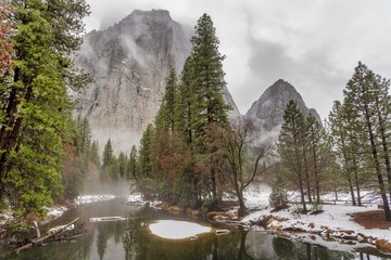 Poster - Beautiful landscape of trees along a river in the Yosemite National Park