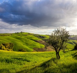 rolling hills in the spring in Tuscany