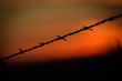 Barb Wire Fence at an angle