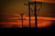 Utility pole line into the sunset