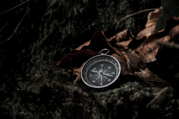 compass between dry leaves