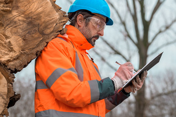 Forestry technician writing notes on clipboard notepad paper in forest