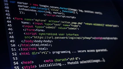 Wall Mural - computer code programming coding process