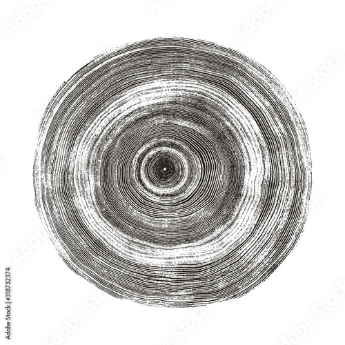 Fotomural Vector wood texture of a monotone black and gray tree rings and ripples cross section wooden stump showing years and growth rings