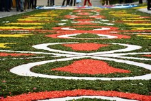 Street Decorated With Flowers At The Corpus Christi Festival