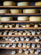 FULL FRAME SHOT OF Handmade Organic Cheese Aging On Shelf