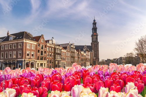 amsterdam-netherlands-city-skyline-at-canal-waterfront-and-bridge-with-spring-tulip-flower