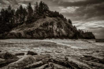 Wall Mural - Driftwood and Lighthouse - Washington Coast