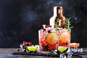 Canvas Print - Glasses of cranberry drink or cocktail with rosemary, cranberries, vodka and crushed ice on grey background, copper bar tools, copy space