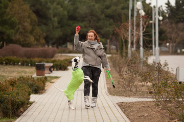 Wall Mural - A beautiful woman with her cute Dalmatian dog on a walk is having fun playing in the spring. Concept: dog clothes, dog fashion, best friends, health, active lifestyle.