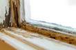 Ice condensation damage to a wooden window frame with rotting, peeling paint and mold