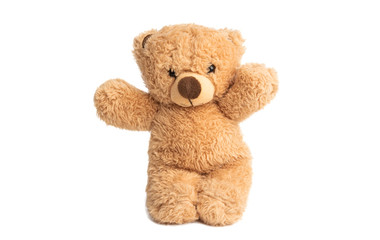 soft bear toy isolated