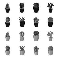 Sticker - Vector design of cactus and pot symbol. Collection of cactus and cacti vector icon for stock.