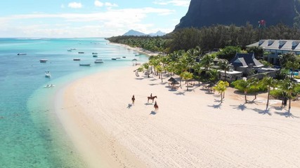 Wall Mural - Tropical beach in Mauritius. Sandy beach with palms and blue transparent ocean. Aerial view