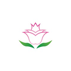 Wall Mural - Vector illustration icon of beautiful tulips with white background