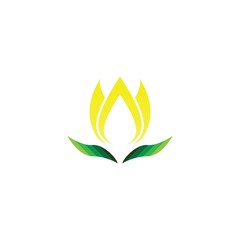 Wall Mural - Vector illustration icon of beautiful tulips with white background