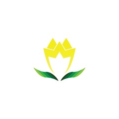 Wall Mural - Vector illustration icon of beautiful tulips with white background